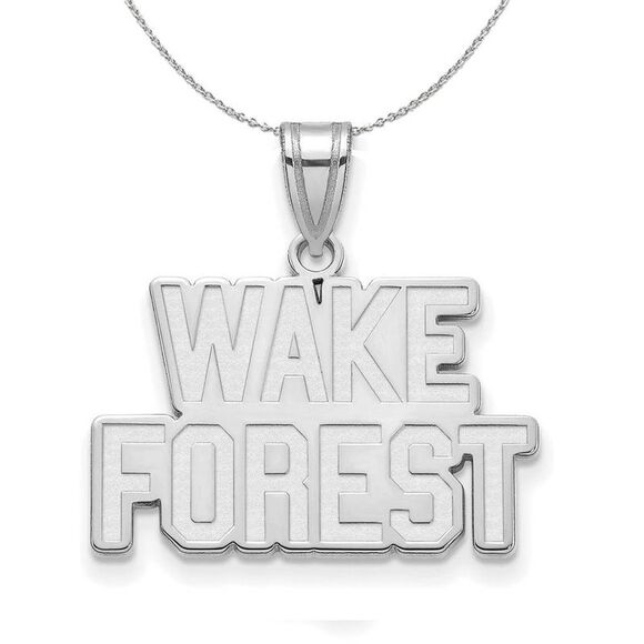 Sterling Silver Wake Forest U. Small Necklace - 16 Inch - Picture 1 of 7